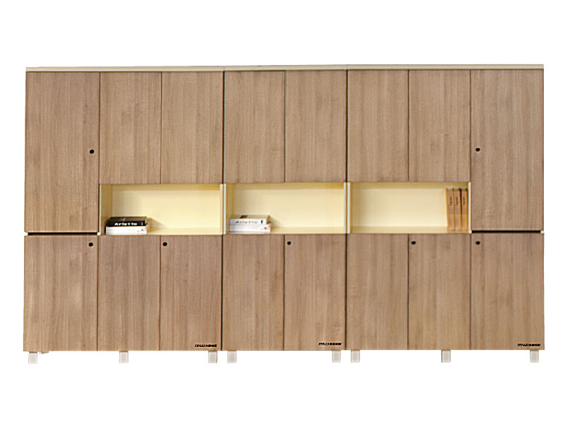 板式組合文件柜 資料柜 收藏儲物柜 書柜 組合檔案柜 板式組合文件柜 資料柜 收藏儲物柜 書柜 組合檔案柜