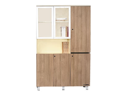 實木文件柜 資料柜 辦公柜 組合文件柜 廠家直銷書柜