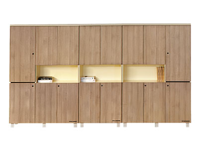 板式組合文件柜 資料柜 收藏儲物柜 書柜 組合檔案柜